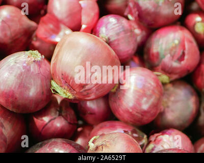 Rote Zwiebeln in einem Schaufenster. close-up. Rote Zwiebeln auf die Schaufenster unter anderem Gemüse Stockfoto