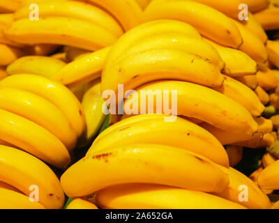 Gelbe Bananen sind auf die Theke. Gelb reife Bananen auf den Tresen. Ernte der reife, gelbe Bananen in einem Schaufenster auf dem Markt Stockfoto