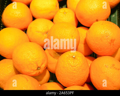 Reifen Orangen auf dem Zähler. Sammlung von Orange in einem Schaufenster. close-up. Neues Jahr Früchte, frisch gepressten Vitamin Saft Stockfoto