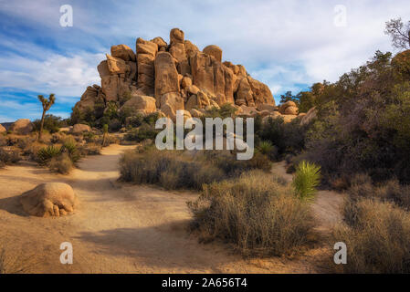 Desert Trail in Joshua Tree National Park, Stockfoto