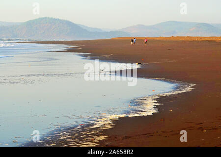 Velas Strand, Ratnagiri, Maharashtra, Indien Stockfoto