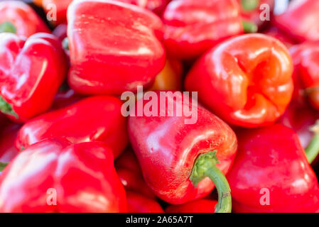 Paprika auf einem Zähler im Supermarkt. Eine große Anzahl von roten Paprika in einem Haufen. Schließen. Stockfoto