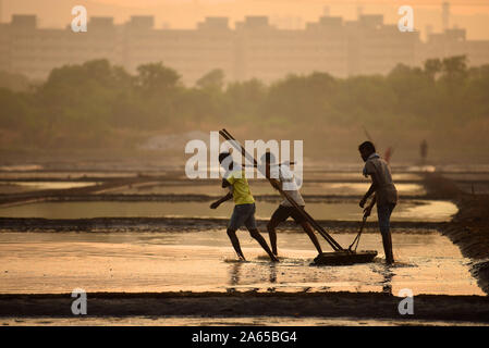 Männer in Salinen, Wadala, Mumbai, Maharashtra, Indien, Asien Stockfoto