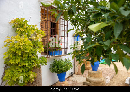 Typisch andalusischen Patio in Malaga, Spanien Stockfoto