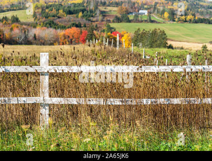 Holzzaun entlang einer Bauernhof Feld in ländlichen Prince Edward Island, Kanada. Stockfoto