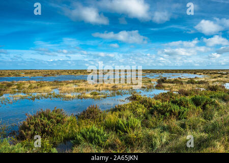 Morston Salzwiesen von der Blakeney zu Morston Küstenweg gesehen. Norfolk, England, UK. Stockfoto