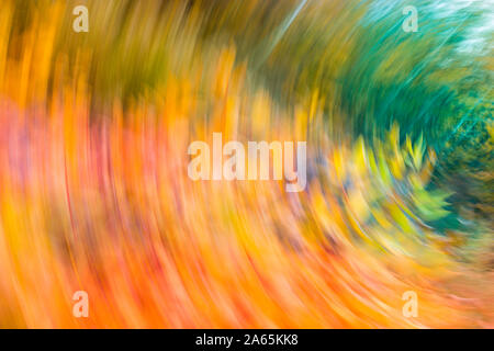 Der Herbst kommt mit einem Wirbelwind der Blätter - Abstrakte Landschaft - Kreis Stockfoto