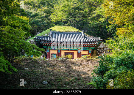 Seokguram Grotte Außenansicht eine Einsiedelei von Bulguksa Tempel Komplex in Gyeongju Südkorea mit Herbst Farben Stockfoto