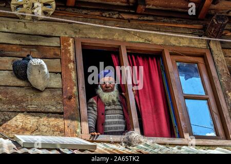 Kaschmir alter Mann, Fenster, sheikhpura Chorwan Dorf, Kaschmir, Indien, Asien Stockfoto