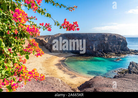 Landschaft mit türkisfarbenen Meer Wasser am Strand Papagayo, Lanzarote, Kanarische Inseln, Spanien Stockfoto