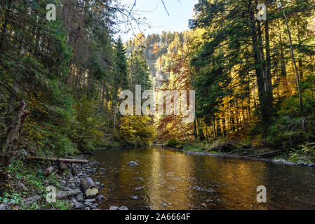 Die prielom Hornádu Wanderweg im Slowakischen Paradies im Herbst mit wechselnden Farben Stockfoto