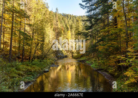 Die prielom Hornádu Wanderweg im Slowakischen Paradies im Herbst mit wechselnden Farben Stockfoto