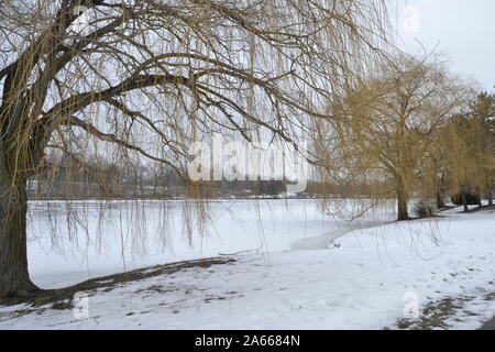 Winter in Delawere Park, Buffalo NY Stockfoto