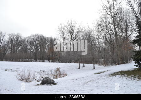 Winter in Delawere Park, Buffalo NY Stockfoto