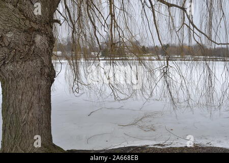 Winter in Delawere Park, Buffalo NY Stockfoto