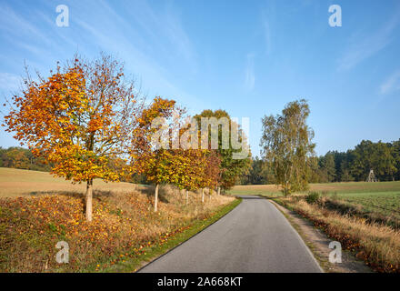 Scenic Country Road morgens warmes Sonnenlicht, herbstliche Landschaft. Stockfoto
