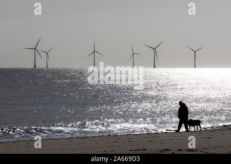 Einsamkeit und Abgeschiedenheit. Friedliche Landschaft Bild des einsamen Person zu Fuß einen Hund. Mans bester Freund. Windpark Turbinen auf dem Meer Strand Horizont. Mindf Stockfoto