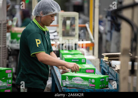 Kuala Lumpur, Malaysia. Okt, 2019 21. Ein Mann arbeitet an Schorle natürliches Mineralwasser Anlage in Taiping, Perak, Malaysia, Okt. 21, 2019. Mit 'Funktion: Malaysische Mineralwasser Firma sucht Wellen in China mit Import Expo 'Credit: Zhu Wei/Xinhua/Alamy leben Nachrichten Stockfoto