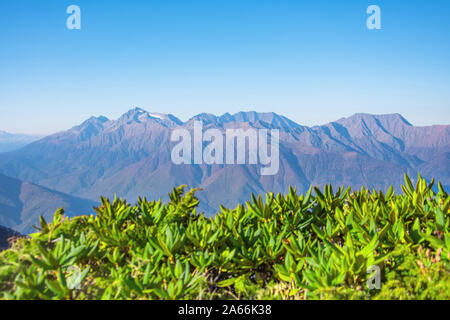 Panoramasicht auf die Berge und dem klaren, blauen Himmel, im Vordergrund Berg vegetation Gras aus Fokus Stockfoto