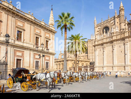 Sevilla Kutschfahrten außerhalb der Kathedrale von Sevilla und das allgemeine Archiv der Indies Gebäude Calle Miguel Mañara Sevilla Spanien EU Europa angeboten Stockfoto