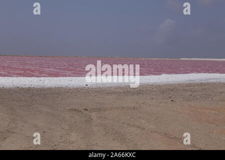 Rose Karibik salt lake Bonaire Insel Karibik Niederländische Antillen Stockfoto