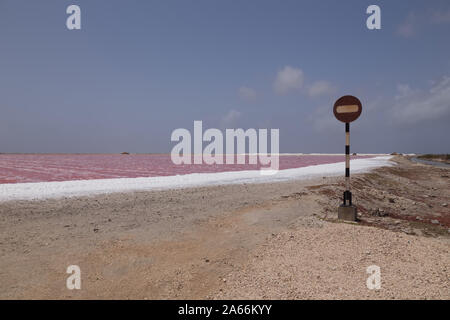 Rose Karibik salt lake Bonaire Insel Karibik Niederländische Antillen Stockfoto