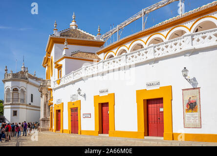 Besucher Plaza de Toros de la Real Maestranza de Caballería de Sevilla Sevilla Stierkampfarena Sevilla Spanien Sevilla Sevilla Andalusien Spanien EU Europa Stockfoto