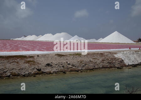 Rose Karibik salt lake Bonaire Insel Karibik Niederländische Antillen Stockfoto