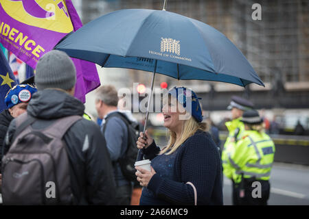 Ein anti-Brexit Mitkämpfer im College Green außerhalb der Häuser des Parlaments Stockfoto