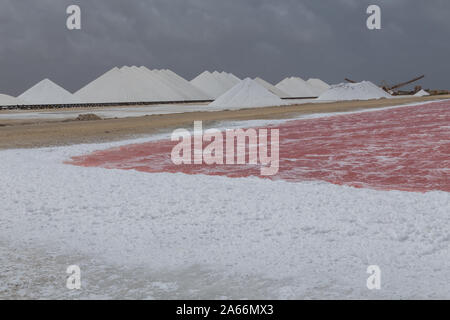 Rose Karibik salt lake Bonaire Insel Karibik Niederländische Antillen Stockfoto