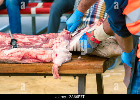 Metzger in Schlachtung und traditionelle Herstellung der iberischen Schwein und extrahieren Sie verschiedene Teile der Iberischen Schwein 2019 iberischer Schinken Messe von einem Stockfoto