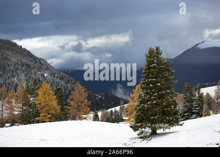 Wunderschön verschneiten Berge in Seiser Alm, Dolomiten - Winterurlaub Ziel Stockfoto