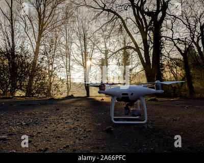 Drone in Wäldern bei Sonnenaufgang Stockfoto
