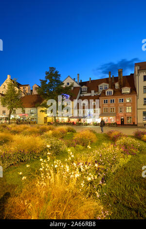 Livu Square ist das Zentrum des jugendlichen Riga's Leben. Im Sommer ist der Platz mit Cafes und schönen Blumenbeeten. Riga, Lettland Stockfoto