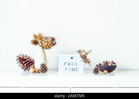 Box mit Text ABFALLZEIT, getrocknete Blumen, Dornen im Licht Vase, Tannenzapfen und anderen natürlichen Dekor auf weiße Wand im Hintergrund. Eco, einfache Home Interior s Stockfoto