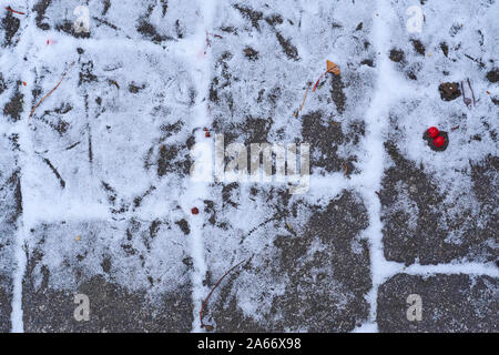 Titel von Spatzen auf dem Kopfsteinpflaster nach dem ersten Schnee des Winters Stockfoto