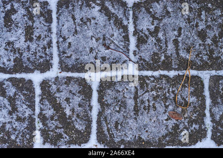 Titel von Spatzen auf dem Kopfsteinpflaster nach dem ersten Schnee des Winters Stockfoto