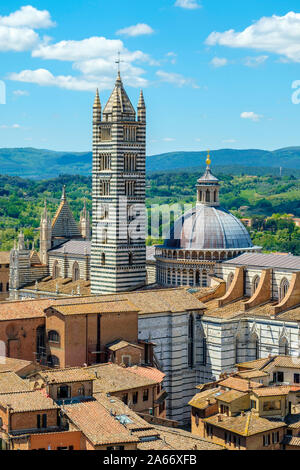 Hohe Betrachtungswinkel und der Duomo di Siena (Dom von Siena) und Gebäude in der Altstadt. UNESCO-Weltkulturerbe, Siena, Toskana, Italien, Europa. Stockfoto