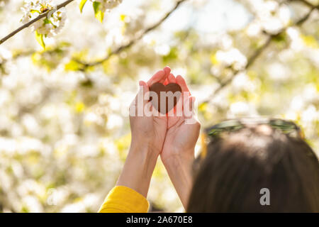 Das Mädchen hält das Herz in den Händen das Herz in der Hand. Konzept der gesunden, Liebe, Orgel, Spender, der Hoffnung und der Kardiologie Spende. Valentines Tag Karte. Givin Stockfoto