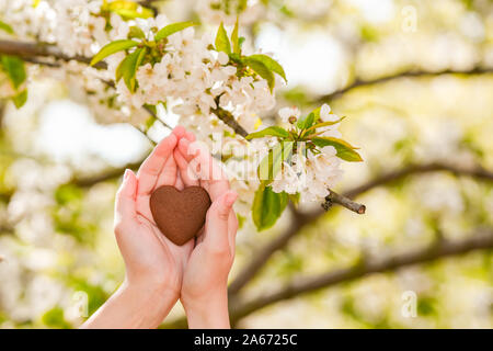 Das Mädchen hält das Herz in den Händen das Herz in der Hand. Konzept der gesunden, Liebe, Orgel, Spender, der Hoffnung und der Kardiologie Spende. Valentines Tag Karte. Givin Stockfoto