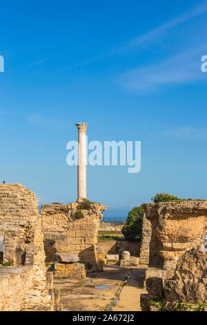 Tunesien, Tunis, Karthago, Antonine Bäder Stockfoto