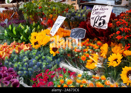 Bunte Blumen für den Verkauf an der Columbia Road Blumenmarkt, Columbia Road, Bethnal Green, East London, London, England, Vereinigtes Königreich, Europa Stockfoto