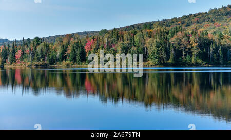 Herbst Wald landschaft und Reflexion in den See. La Mauricie Nationalpark, Kanada. Stockfoto