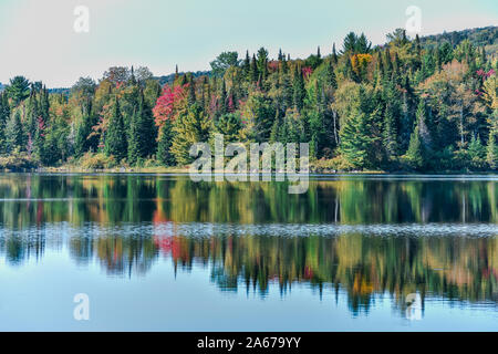 Herbst Wald landschaft und Reflexion in den See. La Mauricie Nationalpark, Kanada. Stockfoto