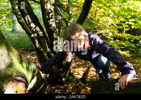 10 jähriges Mädchen auf einen Baum im Wald Stockfoto