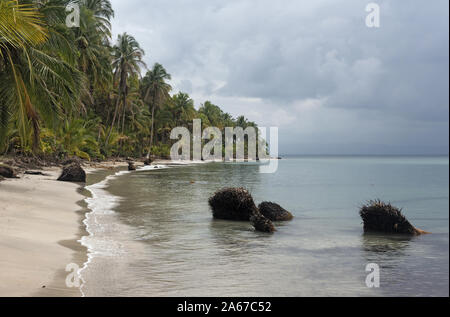 Panoramablick auf den Strand von Boca del Drago Panama Stockfoto