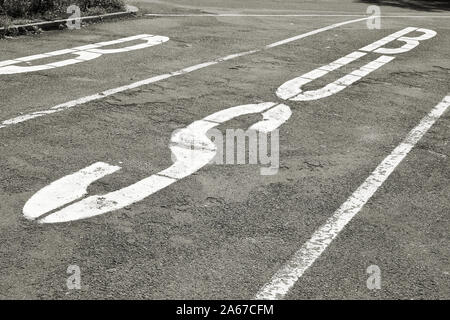 Auf Asphalt markierte Parkplätze für Busse am Ufer der Elbe in Magdeburg. Stockfoto