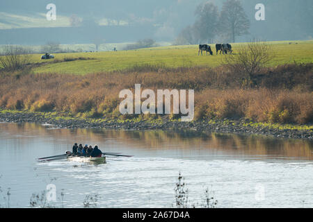 Kanu Paddler auf der Weser, Oberweser, obere Wesertal, Weserbergland, Hessen, Deutschland, Europa Stockfoto