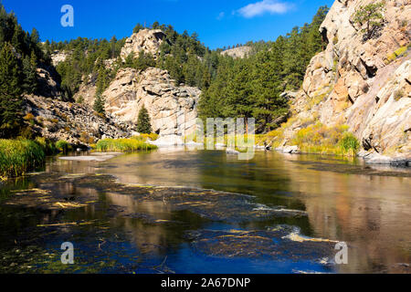 Herbst Farbe auf dem Quellgebiet des South Platte River in elf Mile Canyon Colorado Stockfoto