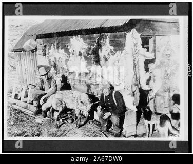 White River N.F. Rio Blanco County, Colorado. Govt. Jäger im Lager Stockfoto